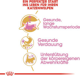 Royal Canin Maine Coon Kitten Katzenfutter Huhn 400 g - 400 g – Bild 1 von 6