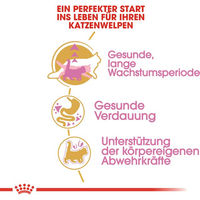 Produktbild von Royal Canin Maine Coon Kitten Katzenfutter Huhn 400 g - 400 g