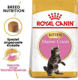 Royal Canin Maine Coon Kitten Trockenfutter Geflügel 10 kg - 10 kg – Bild 1 von 7