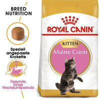 Produktbild von Royal Canin Maine Coon Kitten Trockenfutter Geflügel 10 kg - 10 kg