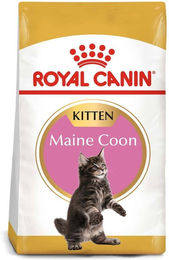Produktbild von Royal Canin Maine Coon Kitten Trockenfutter Kroketten 2 x 10 kg