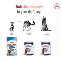 Royal Canin Maxi Adult Mousse Hundefutter für große Rassen 12x410 g - 12 x 410 g – Bild 1 von 2