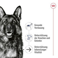 Produktbild von Royal Canin Maxi Ageing 8+ Hundefutter Stückchen in Soße für Senior Hunde 10x140g - 10 x 140 g