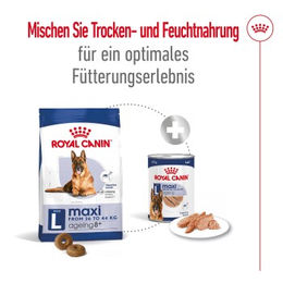 Royal Canin Maxi Ageing Mousse Hund Senior Große Rassen 12x410 g - 12 x 410 g – Bild 1 von 2