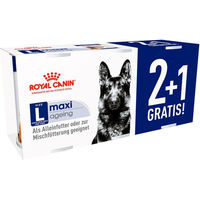 Produktbild von Royal Canin Maxi Ageing Paté für große Hunde im Senior Alter 410g