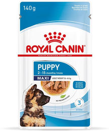 Produktbild von Royal Canin Maxi Puppy Nassfutter für große Hunde Welpen 10x140g
