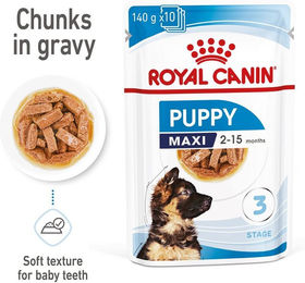 Produktbild von Royal Canin Maxi Puppy Weltenfutter für große Hunde 20x140g