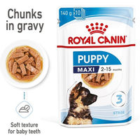 Produktbild von Royal Canin Maxi Puppy Weltenfutter für große Hunde 20x140g