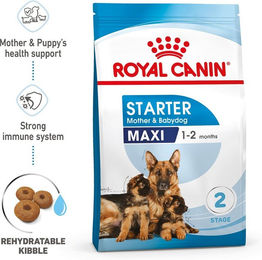 Royal Canin Maxi Starter Futter für tragende Hündinnen und Welpen großer Rassen 2x15kg – Bild 1 von 7