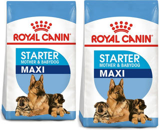 Produktbild von Royal Canin Maxi Starter Hundefutter für tragende Hündinnen und Welpen großer Rassen mit Geflügel 30 kg (2 x 15 kg) - 2 x 15 kg