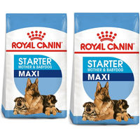 Produktbild von Royal Canin Maxi Starter Hundefutter für tragende Hündinnen und Welpen großer Rassen mit Geflügel 30 kg (2 x 15 kg) - 2 x 15 kg