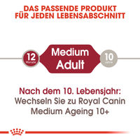 Produktbild von Royal Canin Medium Adult Hundefutter Stückchen in Soße 10 x 140 g - 10 x 140 g