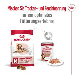 Royal Canin Medium Ageing Mousse Hund Senior 12x410 g - 12 x 410 g – Bild 1 von 2