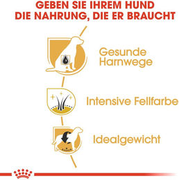 Royal Canin Mini Adult Hundefutter mit Fisch zur Gewichtskontrolle und Harnwegssupport 7,5 kg - 2 x 7,5 kg – Bild 1 von 13