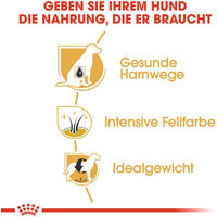 Produktbild von Royal Canin Mini Adult Hundefutter mit Fisch zur Gewichtskontrolle und Harnwegssupport 7,5 kg - 2 x 7,5 kg