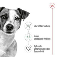 Produktbild von Royal Canin Mini Adult Hundefutter Stückchen in Soße 12x85 g - 12 x 85 g
