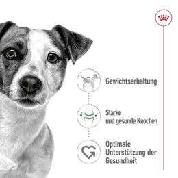 Royal Canin Mini Adult Mousse Hundefutter für kleine erwachsene Hunde 12x195 g - 12 x 195 g – Bild 1 von 2