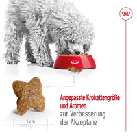 Produktbild von Royal Canin Mini Adult Trockenfutter für kleine Hunde Light 8 kg - 8 kg