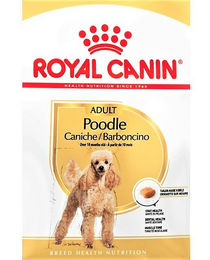 Royal Canin Mini Poodle Adult Trockenfutter Geflügel für ausgewachsene Hunde zur Unterstützung von Haut, Fell und Muskelaufbau 3 kg - 3 kg – Bild 1 von 3