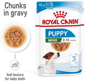Produktbild von Royal Canin Mini Puppy Nassfutter für kleine Welpen 24x85g