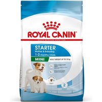 Produktbild von Royal Canin Mini Starter Mother & Babydog Trockenfutter für kleine Hunde, Welpen und trächtige Hündinnen, 4 kg - 4 kg