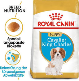 Royal Canin Mini Welpenfutter Geflügel Trockenfutter für Hunde 1,5 kg - 1,5 kg – Bild 1 von 13