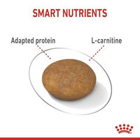 Produktbild von Royal Canin Mini XS Light Hundefutter zur Gewichtskontrolle für erwachsene sehr kleine Hunde 1,5 kg - 1,5 kg