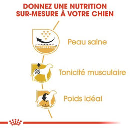 Royal Canin Mops Adult Trockenfutter zur Gewichtskontrolle 2x3 kg - 2 x 3 kg – Bild 1 von 2