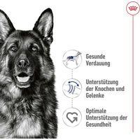 Produktbild von Royal Canin Mousse Feuchtfutter für große Hunde Adult 12 x 410 g - 12 x 410 g