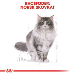 Royal Canin Norwegian Forest Adult Katzenfutter 2x10 kg - 2 x 10 kg – Bild 1 von 2