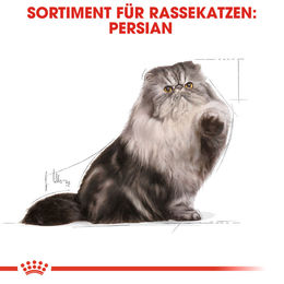 Royal Canin Persian Adult Katzenfutter Mousse für langhaarige Katzen 12 x 85 g - 12 x 85 g – Bild 1 von 6