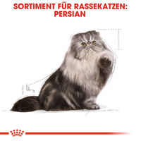 Produktbild von Royal Canin Persian Adult Katzenfutter Mousse für langhaarige Katzen 12 x 85 g - 12 x 85 g