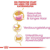 Produktbild von Royal Canin Persian Kitten Katzenfutter für langhaarige Kitten 10 kg - 10 kg