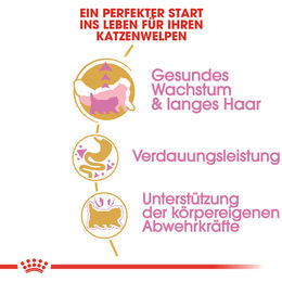 Royal Canin Persian Kitten Trockenfutter für Perser-Kätzchen 2 kg - 2 kg – Bild 1 von 3