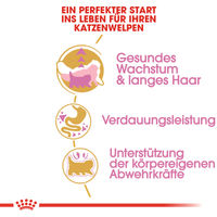 Produktbild von Royal Canin Persian Kitten Trockenfutter für Perser-Kätzchen 2 kg - 2 kg
