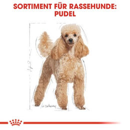 Produktbild von Royal Canin Poodle Adult Hundefutter Stückchen in Soße für Haut und Fell 12x85 g - 12 x 85 g