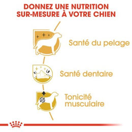Royal Canin Poodle Adult Trockenfutter für ausgewachsene Pudel mit Geflügel zur Haut- und Fellpflege sowie Zahnpflege 1,5 kg - 7,5 kg – Bild 1 von 5
