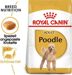Royal Canin Poodle Adult Trockenhundefutter mit Geflügel für Haut und Fell 1,5 kg - 1,5 kg – Bild 1 von 7