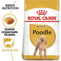 Produktbild von Royal Canin Poodle Adult Trockenhundefutter mit Geflügel für Haut und Fell 1,5 kg - 1,5 kg