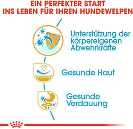 Royal Canin Pug Puppy Trockenfutter für Mops-Welpen mit Geflügel 1,5 kg - 1,5 kg – Bild 1 von 4