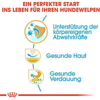 Produktbild von Royal Canin Pug Puppy Trockenfutter für Mops-Welpen mit Geflügel 1,5 kg - 1,5 kg