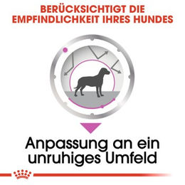 Produktbild von Royal Canin Relax Care Beruhigung Futter für Hunde 12x85g Pouches - 12 x 85 g