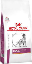Royal Canin Renal Select Hundefutter Adult für alle Größen 2 kg - 2 kg – Bild 1 von 4