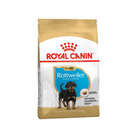 Produktbild von Royal Canin Rottweiler Puppy Welpenfutter für große Rassen mit Geflügel und Schwein 12 kg - 12 kg