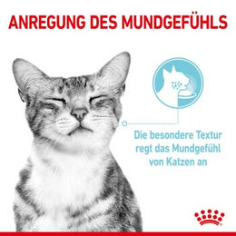 Produktbild von Royal Canin Sensory Feel Katzen Nassfutter Adult Stückchen in Sauce 12x85 g - 12 x 85 g