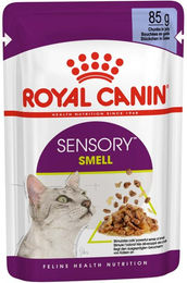 Produktbild von Royal Canin Sensory Smell Jelly 48x85g - 48 x 85 g