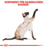 Produktbild von Royal Canin Siamese Adult Katzenfutter zur Gewichtskontrolle, Haut & Fell sowie Verdauung 400 g - 3 x 400 g