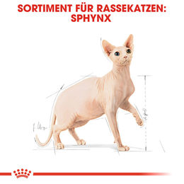 Produktbild von Royal Canin Sphynx Adult Katzenfutter mit Urinary Support 400 g