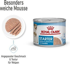Royal Canin Starter Mother & Babydog Mousse für Welpen 12x195 g - 12 x 195 g – Bild 1 von 2