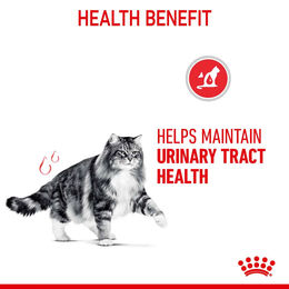 Royal Canin Urinary Care Diätfutter Trockenfutter für Katzen 2x10kg – Bild 1 von 3